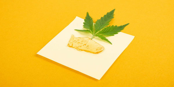 A Guide to the Different Types of Cannabis Concentrates: Find Your Perfect High