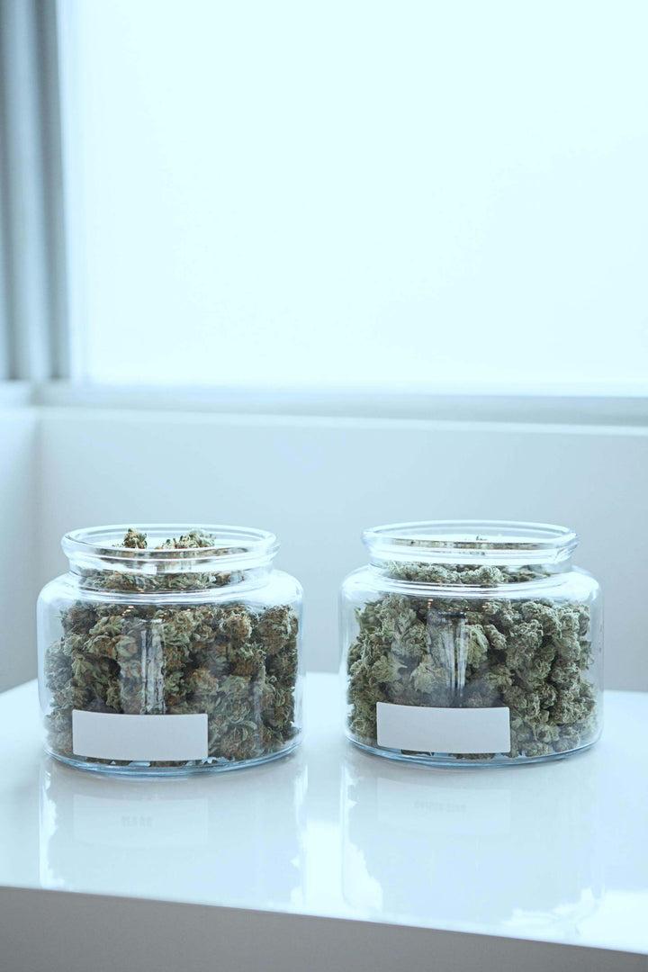 Jars of hemp on a white table in lab