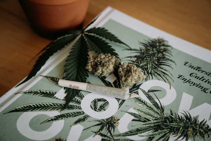 A magazine about hemp on a table with a joint and two nugs of hemp flower next to it can you smoke hemp?